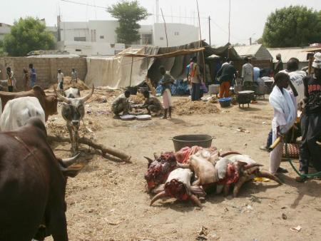 touba